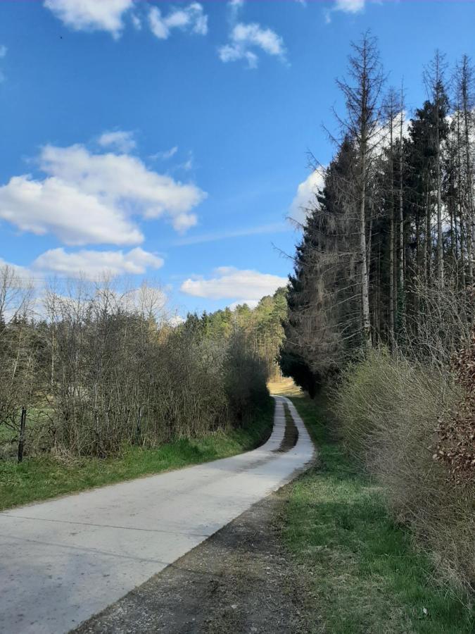 Au Coeur Des Vallees Couvin Exterior foto